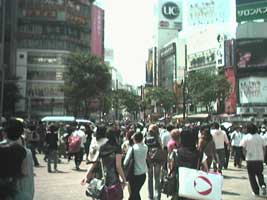 sibuya2.jpg